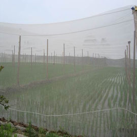 Κίνα 40 HDPE πλέγματος 100% αλιεία με δίχτυα πλέγματος εντόμων μη τοξική για την πρόληψη ασθενειών προμηθευτής