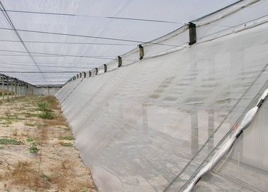 Κίνα Monofilament πρόστιμο οθόνης δικτύου κουνουπιών - πλέγμα, προσαρμοσμένη αλιεία με δίχτυα οθόνης μυγών προμηθευτής