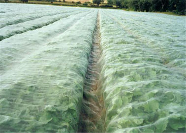 Κίνα Γεωργική οθόνη μυγών θερμοκηπίων άσπρη που πιάνει το αντι αφίδιο για το λαχανικό προμηθευτής