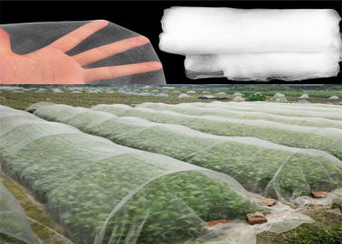 Κίνα Hdpe υλικό πλέγμα εντόμων που πιάνει το άσπρο χρώμα για τις νέες φυτικές συγκομιδές προμηθευτής