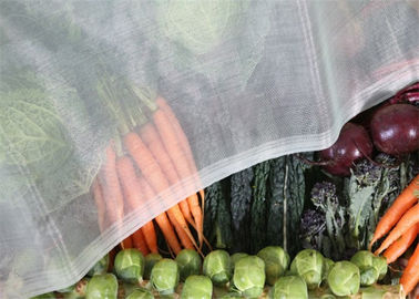 Κίνα 1.35 X πλαστικό πλέγμα εντόμων τρυπών πλέγματος 1,35 χιλ. για τη φυτική προστασία φρούτων προμηθευτής