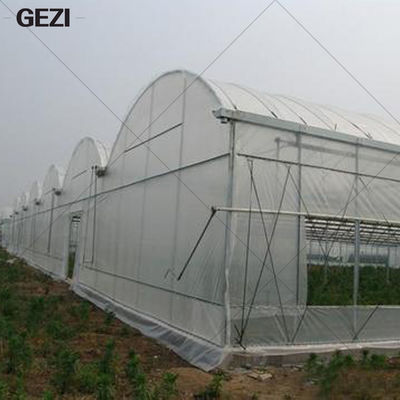 Κίνα Πρόστιμο Gezi - παγιδεψτε το δίκτυο προστασίας εντόμων για τον κήπο, θερμοκήπιο, εγκαταστάσεις, φρούτα, λουλούδια, συγκομιδές, απωθητική ουσία εντόμων προμηθευτής
