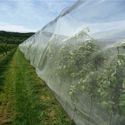 Κίνα HDPE UV ανθεκτικό αντι χαλάζι αλιείας με δίχτυα για τη γεωργία και Gardenning προμηθευτής