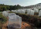 Γεωργική κήπων συγκομιδών εντόμων απόδειξη εντόμων κάλυψης φρούτων λουλουδιών λαχανικών πλέγματος πιάνοντας προμηθευτής