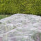 2 πιάνοντας πλέγμα εμποδίων οθόνης κήπων πακέτων που πιάνει 9.8ft × 6,5 πόδια (άσπρα) προμηθευτής