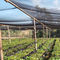 100% νέα HDPE υλική γεωργική πράσινη σκιά ήλιων καθαρή προμηθευτής