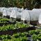 HDPE κάλυψης σκηνών εντόμων κήπων το καθαρό υλικό προσάρμοσε το έντομο γεωργίας μεγέθους ενισχύοντας την καθαρή γεωργία θερμοκηπίων καθαρή προμηθευτής