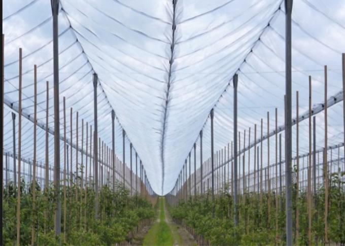 Γεωργικά αντι δίκτυα χαλαζιού θερμοκηπίων απόδειξης χαλαζιού cOem για τα δέντρα της Apple