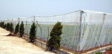 Κίνα Hdpe δίκτυο απόδειξης εντόμων/πλαστική αντι αλιεία με δίχτυα εντόμων θερμοκηπίων προμηθευτής