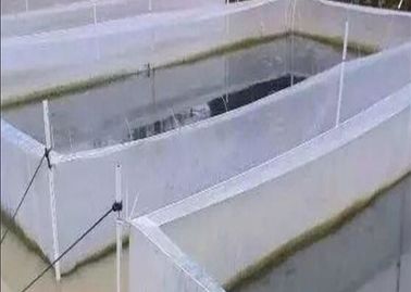 Κίνα Νάυλον δίκτυο υδατοκαλλιέργειας πλέγματος κάτω από προσαρμοσμένη αρίθμηση πλέγματος νερού τη δίχτυ του ψαρέματος προμηθευτής