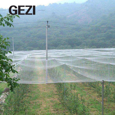 Κίνα UV Resistat γεωργικό πλέγμα Greenhous δικτύου εντόμων 0.3×0.3mm 100% Virgin για το φυτικό εργοστάσιο αλιείας με δίχτυα κάλυψης κήπων προμηθευτής