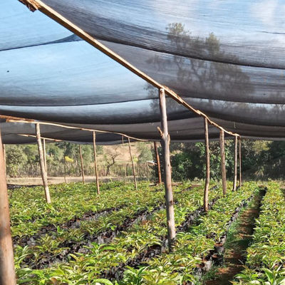 Sunshade sunshade προστασίας κάλυψης εγκαταστάσεων UV ανθεκτικό HDPE οθόνης εξωτερικό sunshade ύφασμα πανιών προμηθευτής