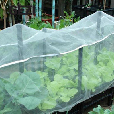 UV Resistat γεωργικό πλέγμα Greenhous δικτύου εντόμων 0.3×0.3mm 100% Virgin για το φυτικό εργοστάσιο αλιείας με δίχτυα κάλυψης κήπων προμηθευτής