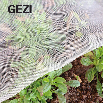UV Resistat γεωργικό πλέγμα Greenhous δικτύου εντόμων 0.3×0.3mm 100% Virgin για το φυτικό εργοστάσιο αλιείας με δίχτυα κάλυψης κήπων προμηθευτής