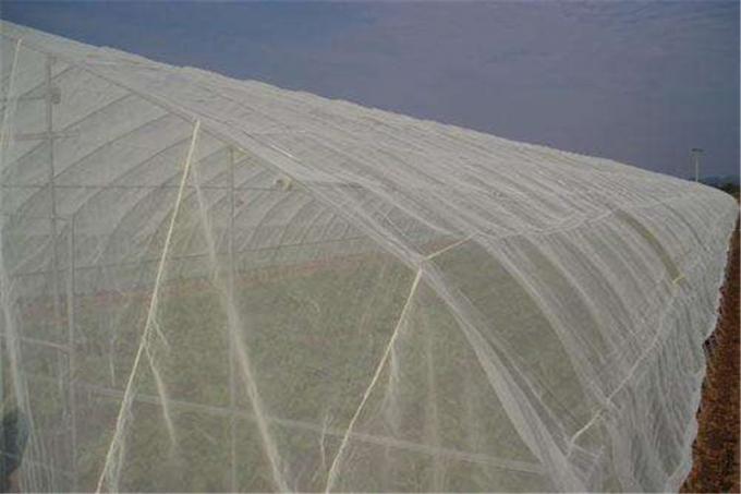 100% HDPE 4x50m αλιεία με δίχτυα πλέγματος εντόμων για το βρεφικό σταθμό θερμοκηπίων/γεωργικός